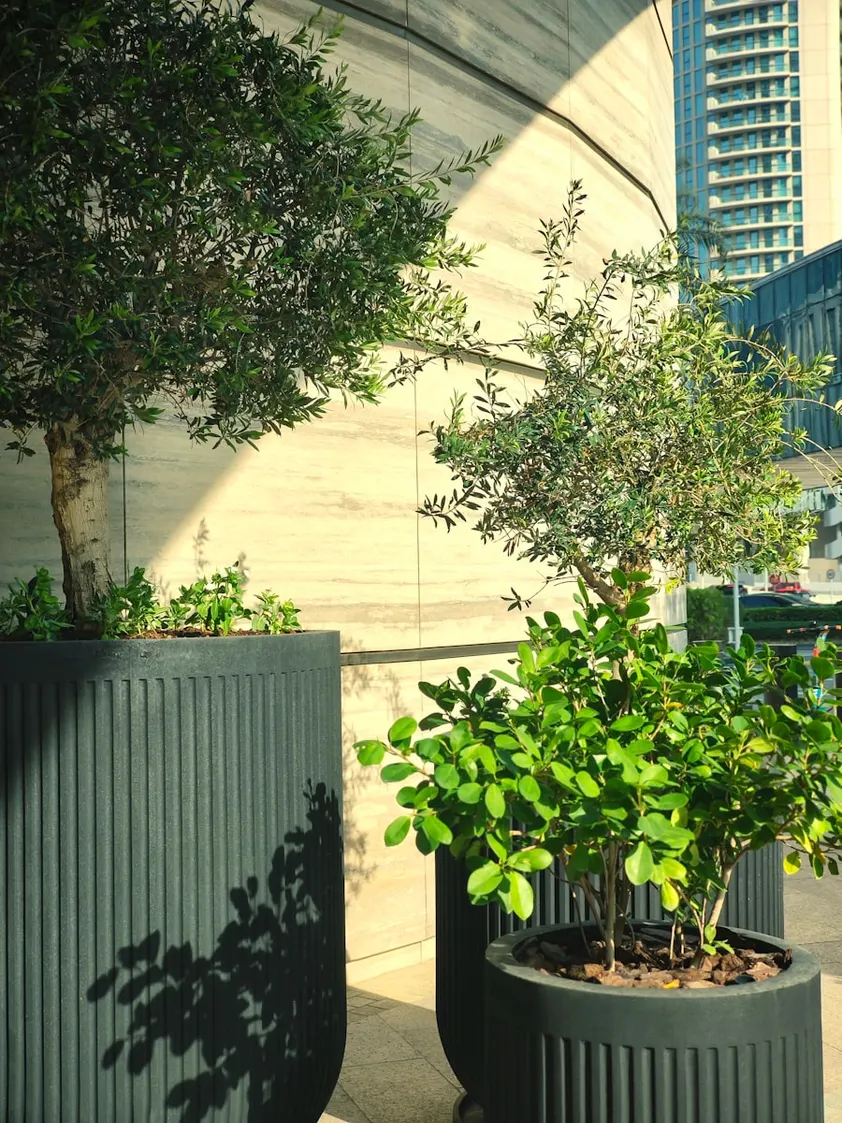 Cast concrete planter