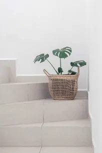 Woven seagrass planter